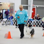 Handler with dog in heel on the Rally course