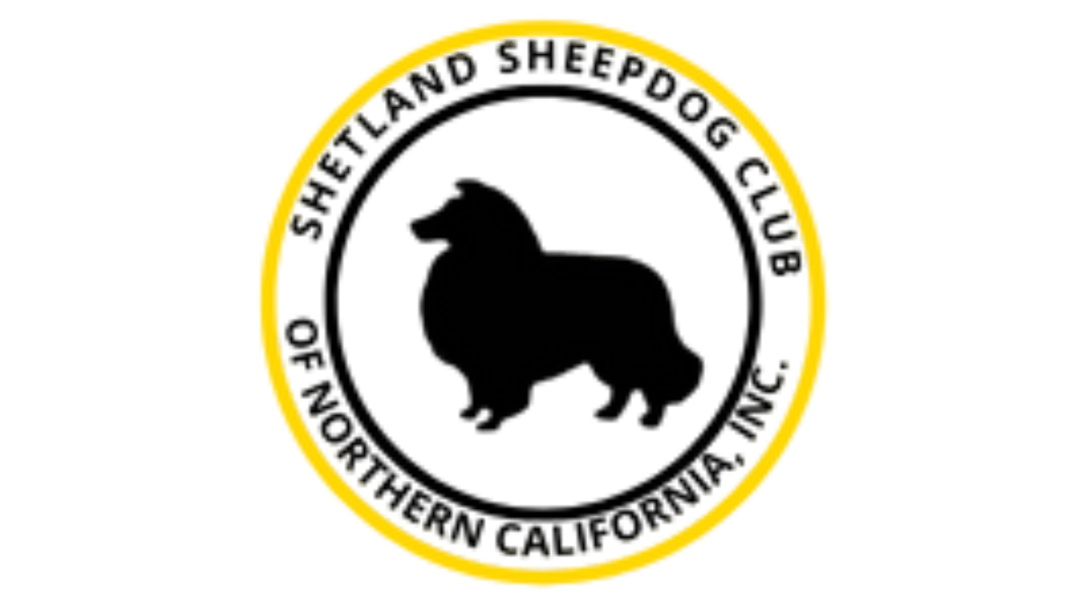 events-programs-shetland-sheepdog-club-of-northern-california